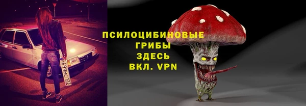 спайс Алексин
